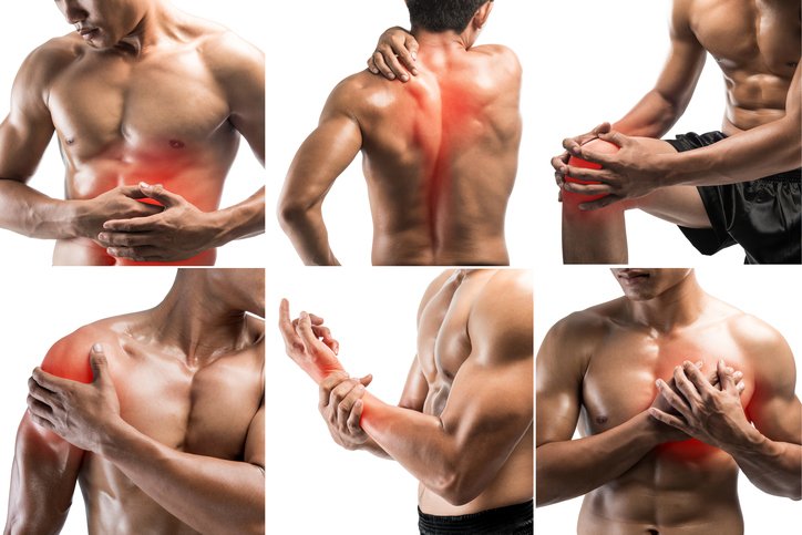 Loyola Physical Therapy picture
