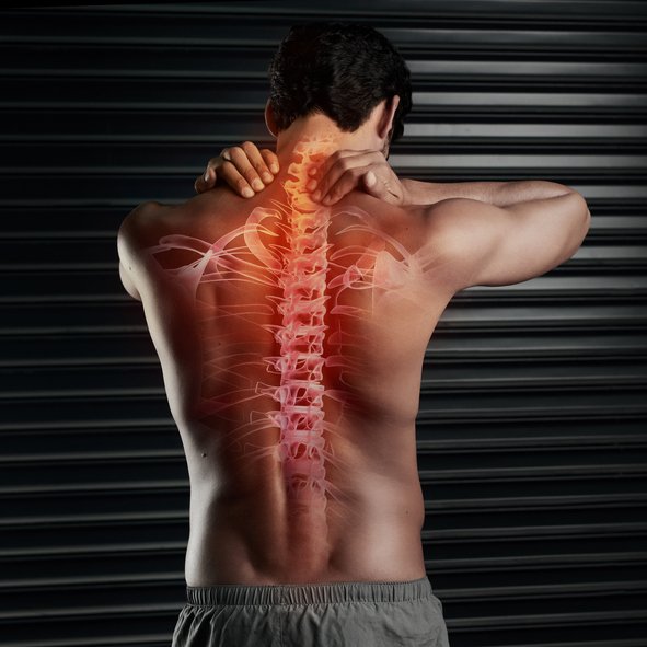 Loyola Physical Therapy picture