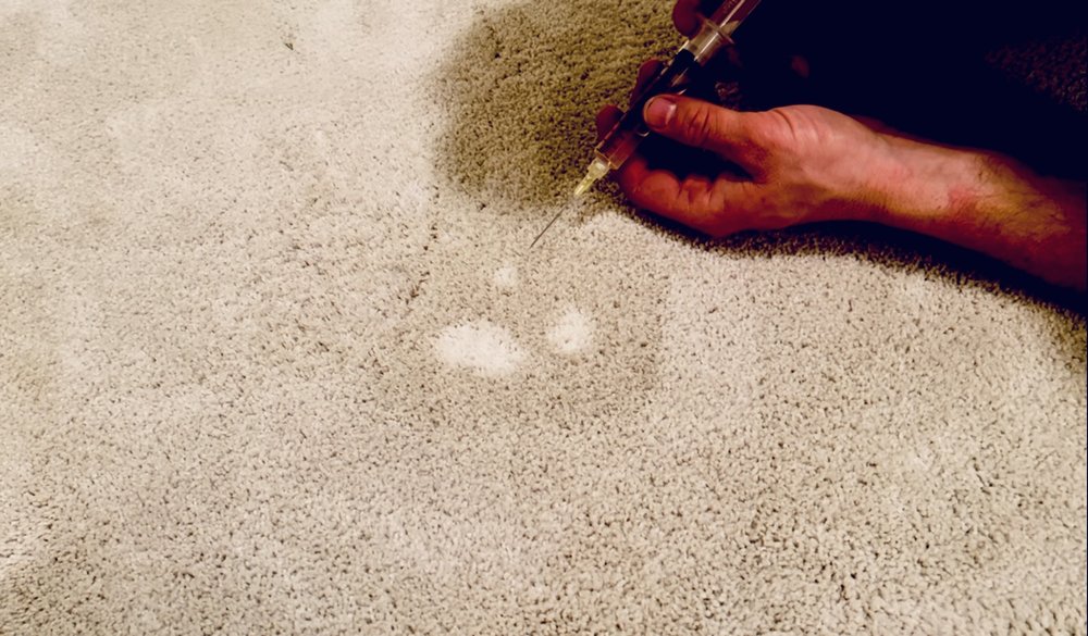 Nelson Carpet Cleaning