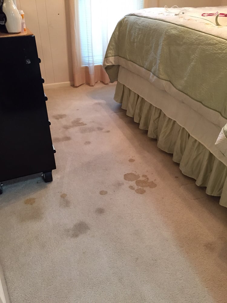 Oxi Fresh Carpet Cleaning picture