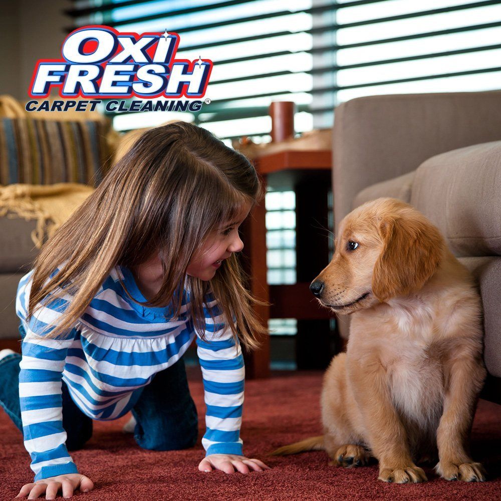 Oxi Fresh Carpet Cleaning picture