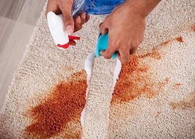 A-1 Carpet Cleaners