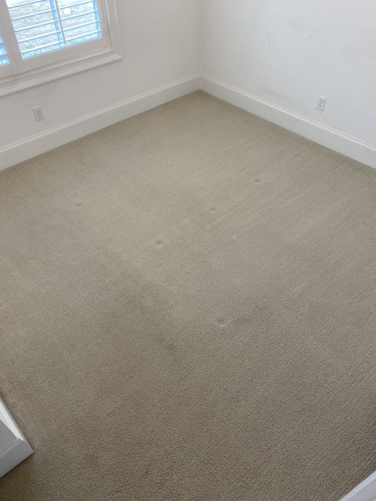 Oxi Fresh Carpet Cleaning picture