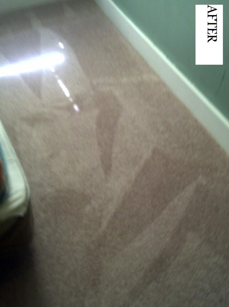 Lafayette Carpet, Tile &amp; Upholstery Cleaners picture