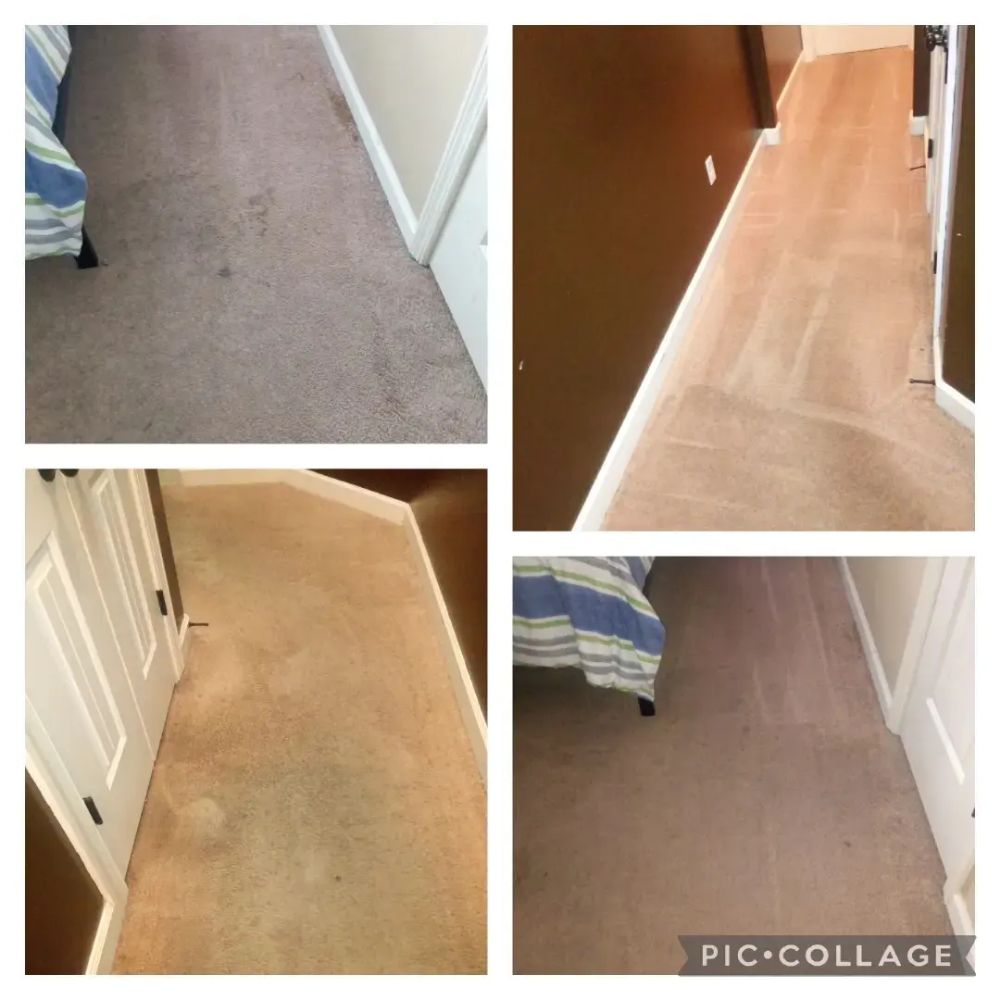 Xpert Cleaning picture