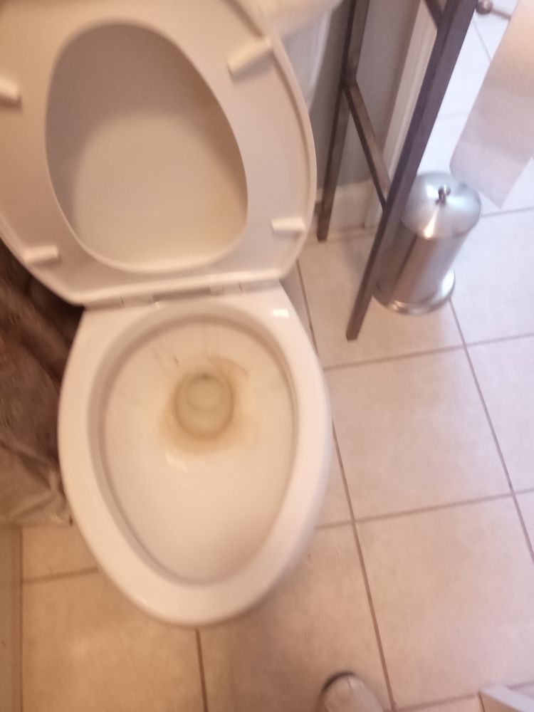 Xpert Cleaning picture